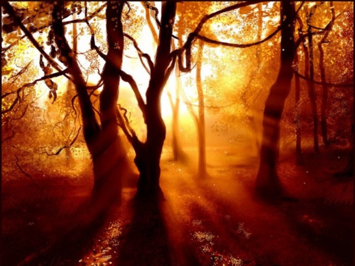 autumn (16).jpg (150 KB)